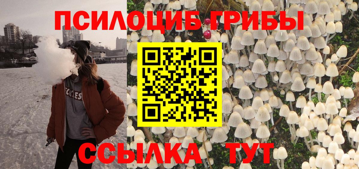 Галлюциногенные грибы Psilocybe Арзамас